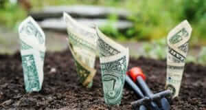 Reputable Affiliate Networks That Really Pay Out money growing out of the ground