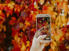 Pinterest Marketing Tool Tailwind Now Rocking Instagram Marketing lady holding up a cell phone